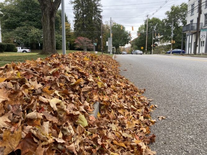 Leaf pickup programs start next week News, Sports, Jobs Times